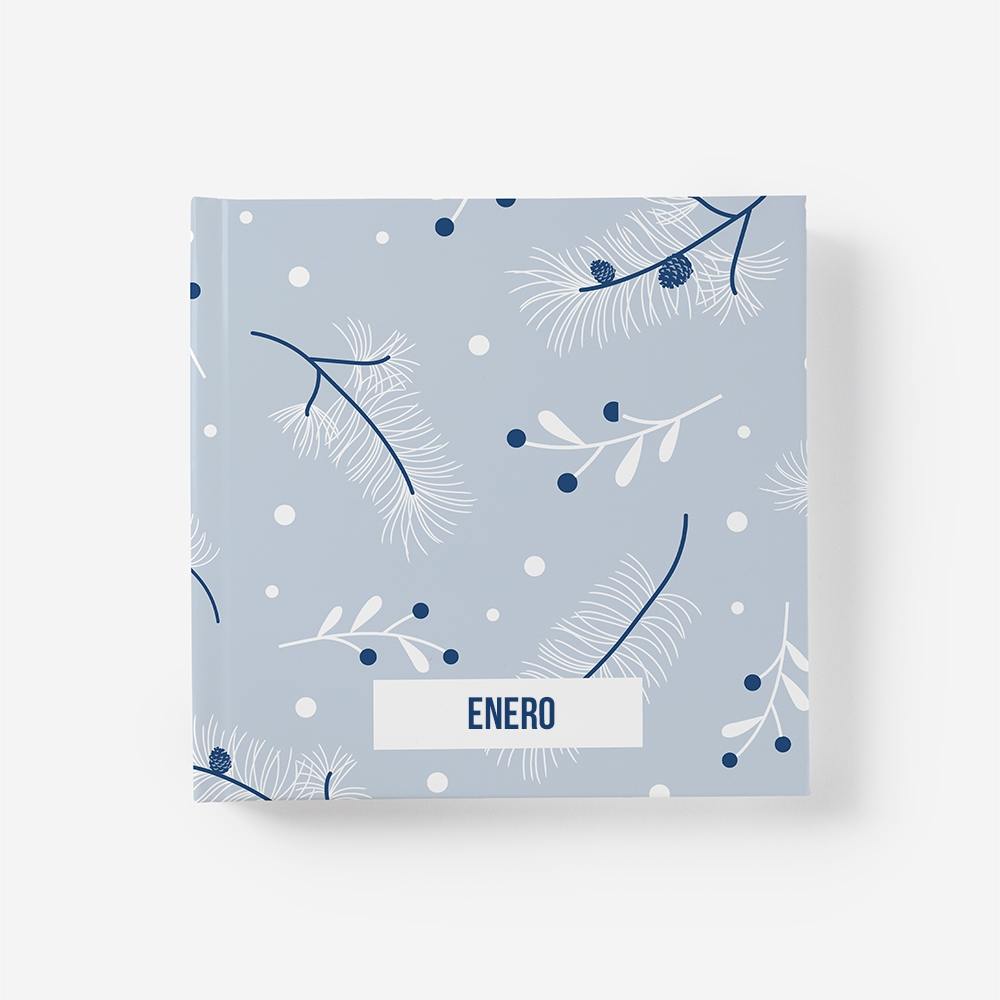 Álbum Enero