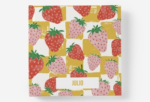 Álbum Julio intro