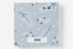 Álbum Enero intro