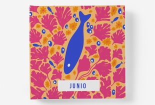 Álbum Junio intro
