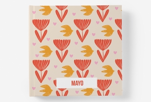 Álbum Mayo intro