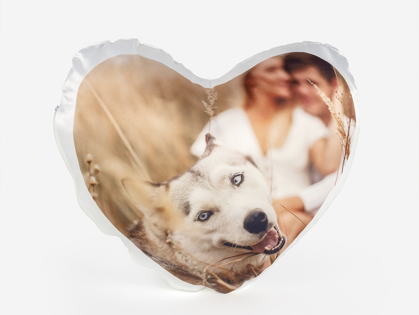 Formatos Disponibles