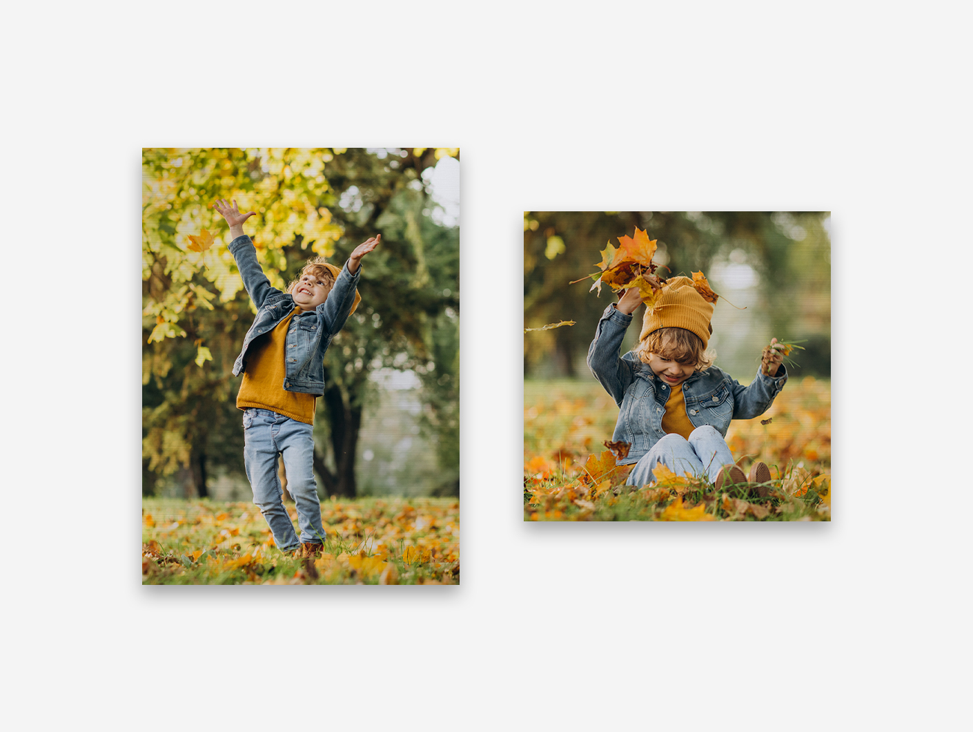 Varios formatos para elegir