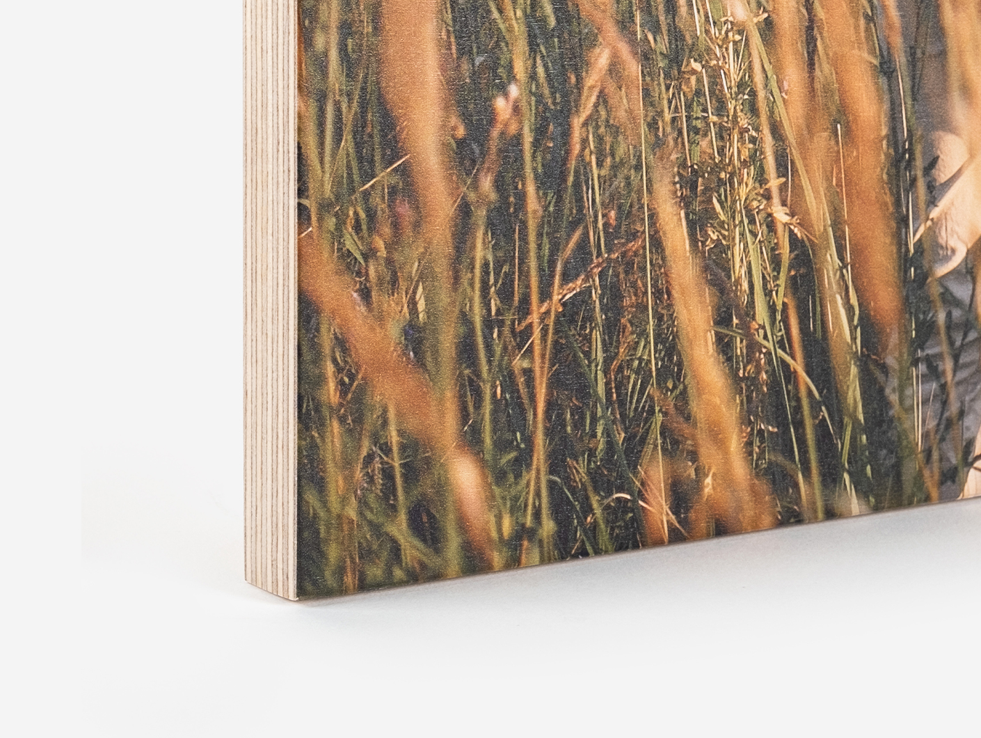 Tablas de madera rústica de 15 mm