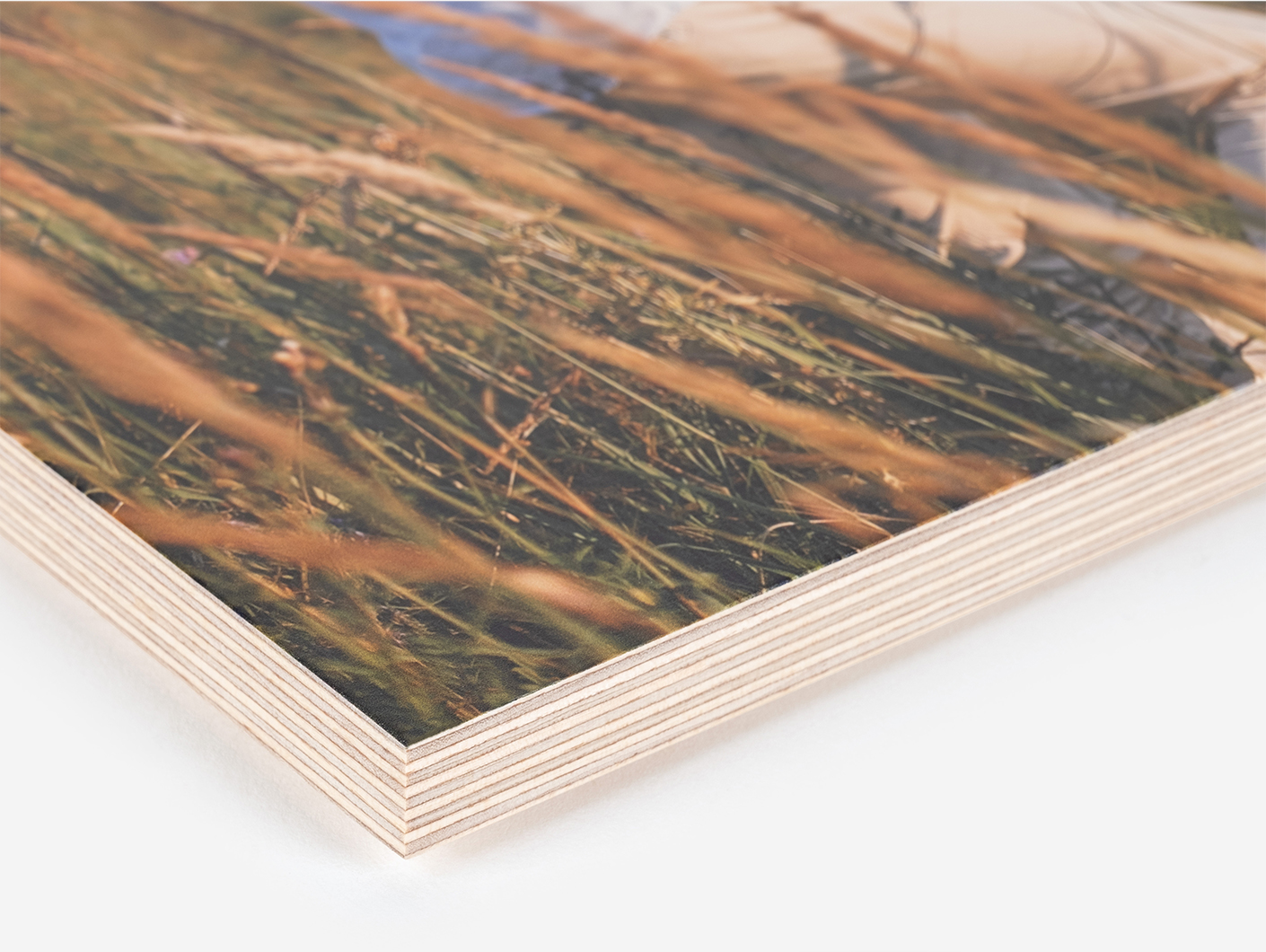 Impresión en 7 colores con tintas UV Fine Art