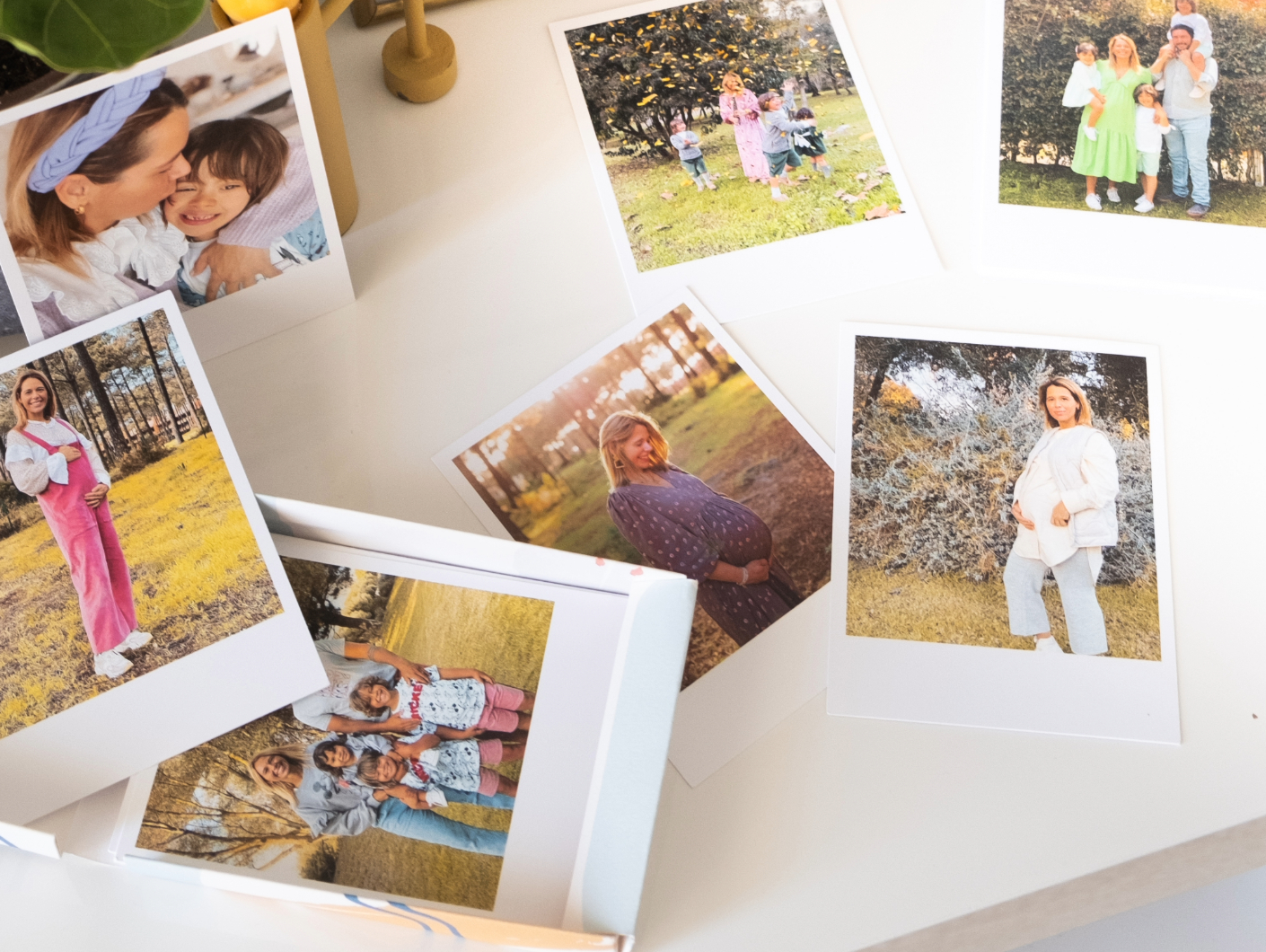 Diversidad de Opciones