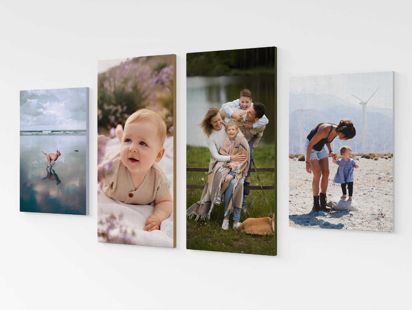 Vários formatos para elegir