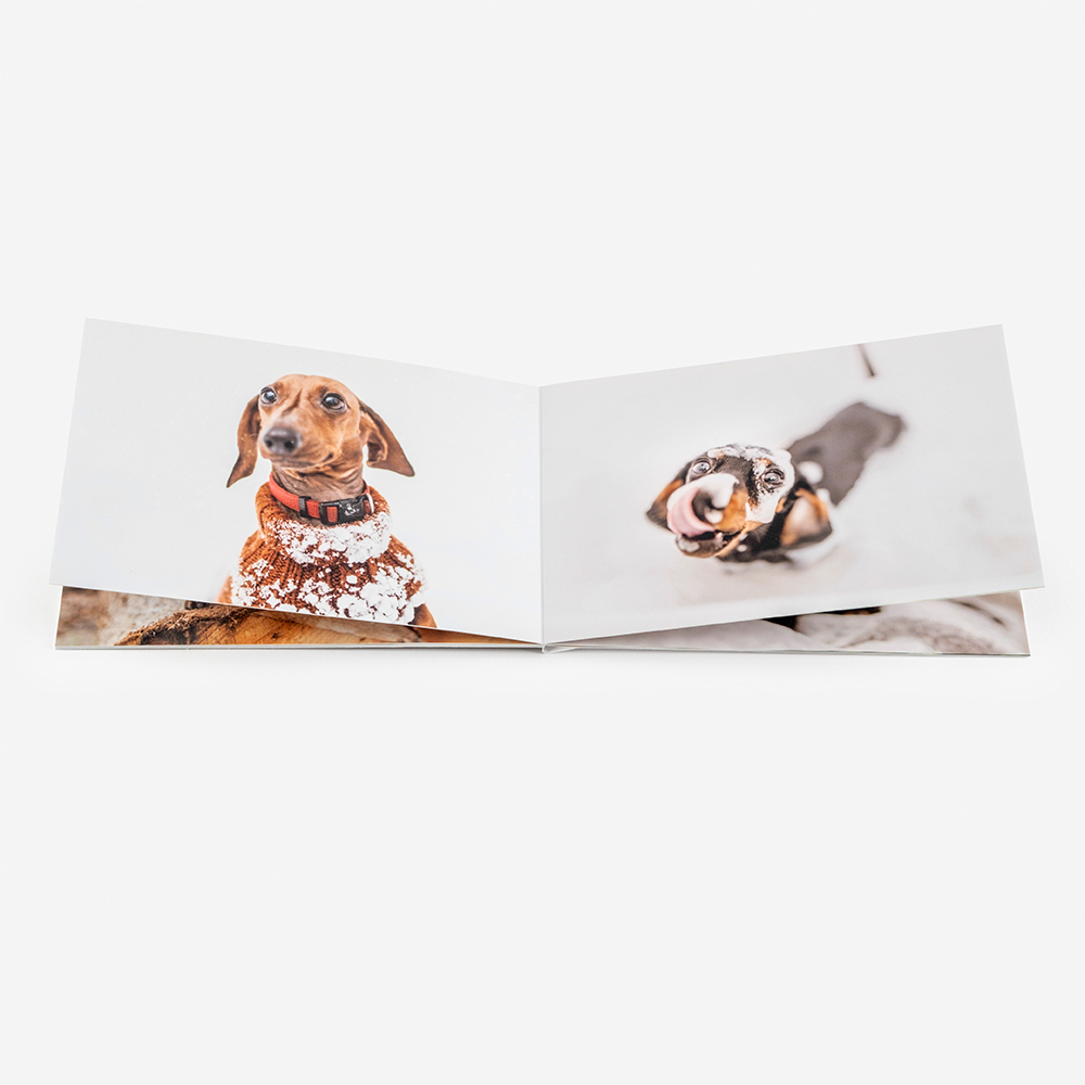 Álbum de Fotos Booklet 15x10cm 3