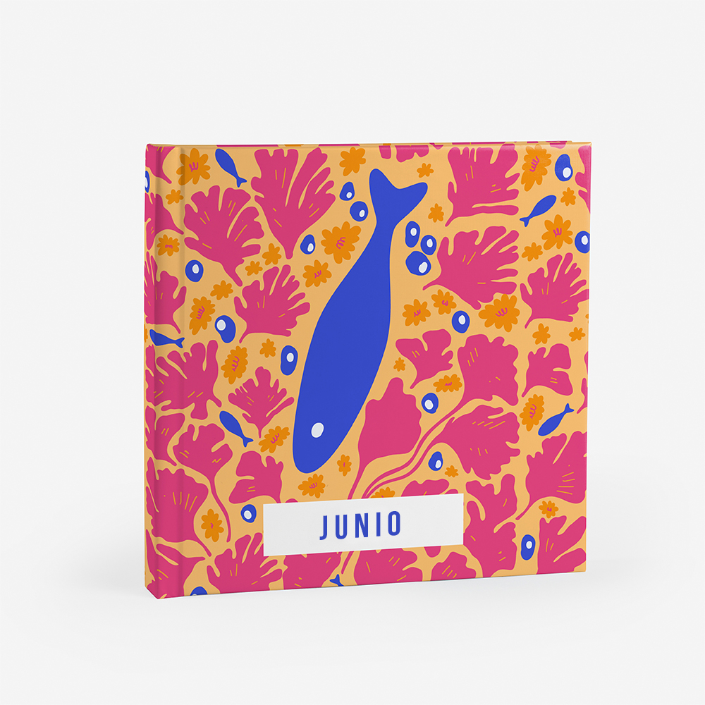 Álbum Junio 3