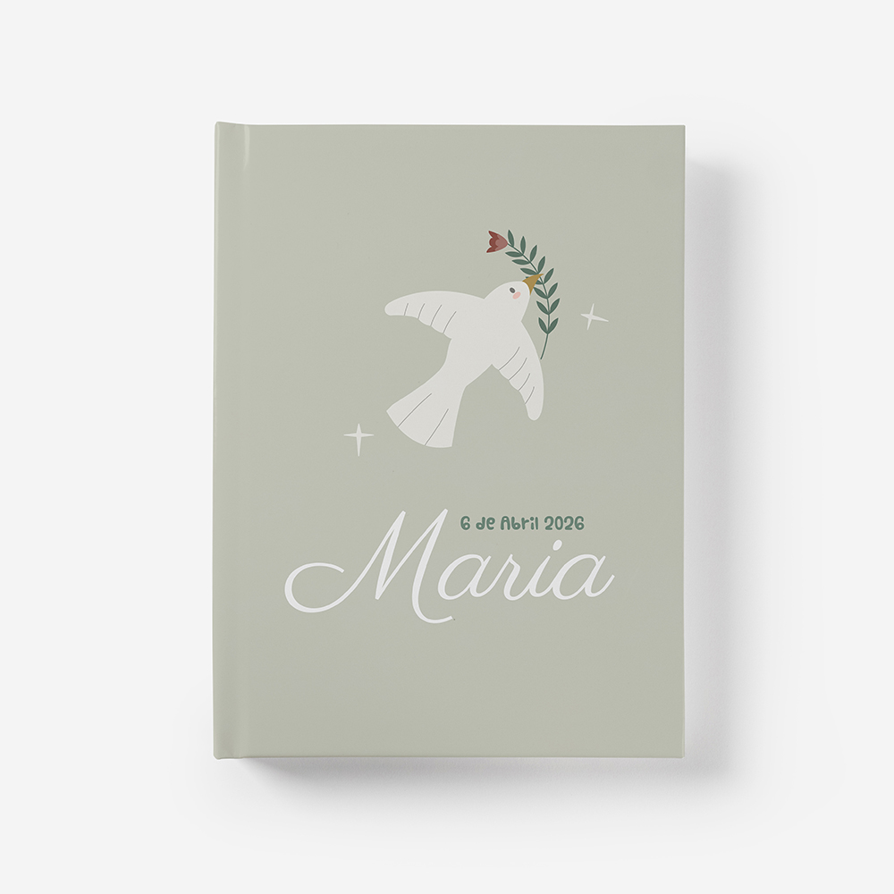 Álbum  Memorias de un día 1