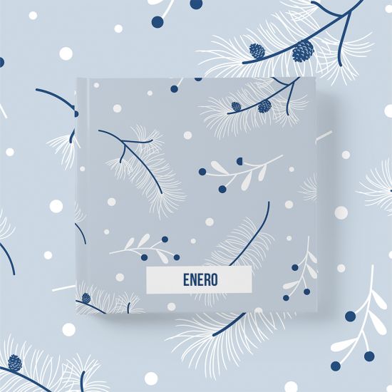 Álbum Enero 2
