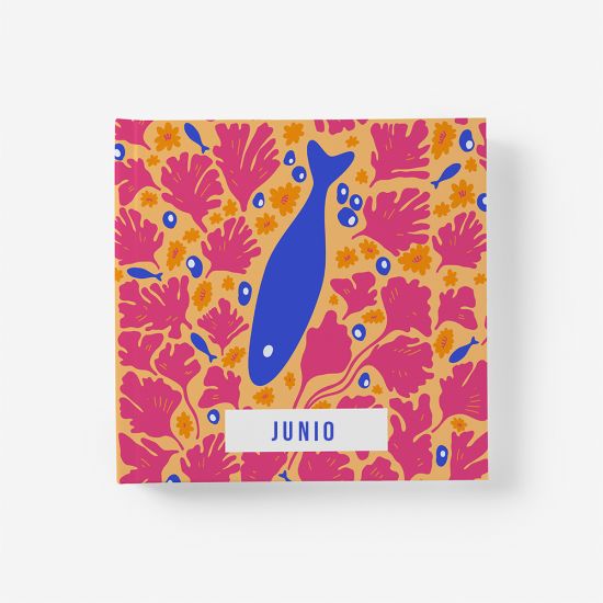 Álbum Junio 1