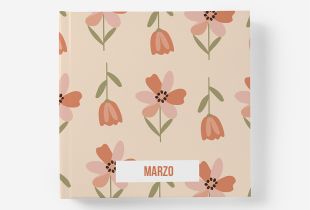 Álbum Marzo intro