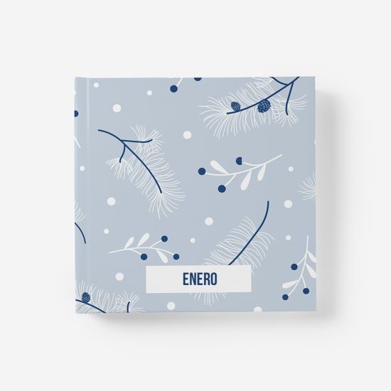 Álbum Enero 1