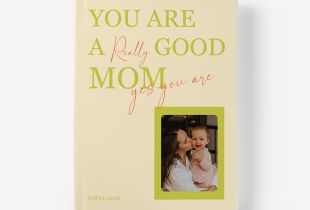 Álbum You are a Really Good Mom intro