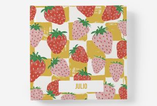 Álbum Julio intro