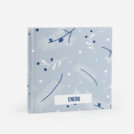 Álbum Enero 3